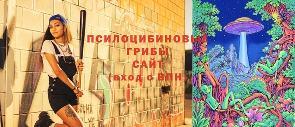 эйфоретик Алексин