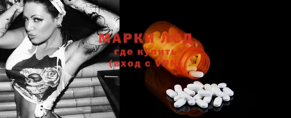 apvp Алзамай