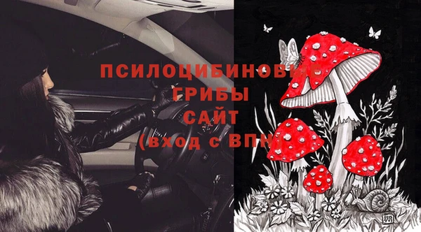 apvp Алзамай
