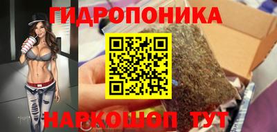 индика Кимры