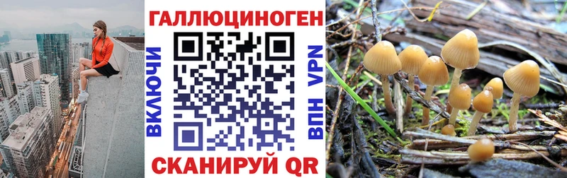 мориарти официальный сайт  цены наркотик  Лобня  Галлюциногенные грибы Magic Shrooms 