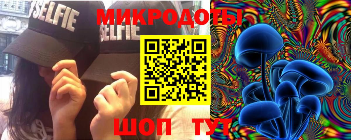 Галлюциногенные грибы Psilocybe Лобня