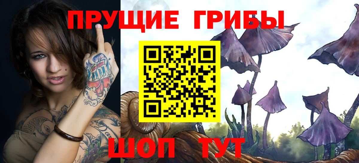 Лобня  Псилоцибиновые грибы Psilocybe  Вход с VPN  Галлюциногенные грибы ЛСД 